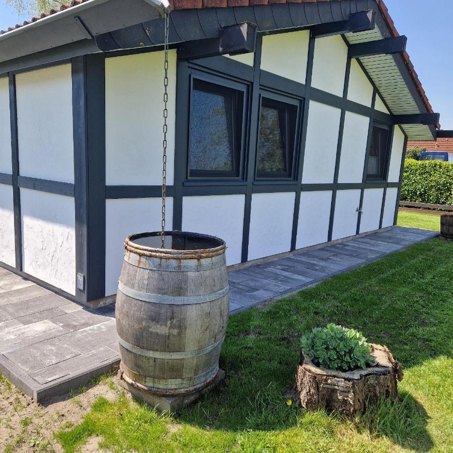 Ferienhaus Elbdiek Bachenbrock Buitenkant foto